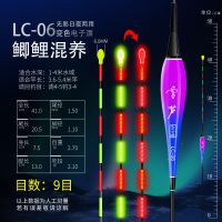 咬钩变色夜光漂高灵敏日夜两用纳米电子漂夜钓浮漂鲫鱼鲤鱼漂