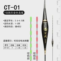 咬钩变色夜光漂亮醒目电子漂日夜两用高灵敏浮漂重力感应鲫鱼漂