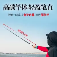 钓鱼竿台钓19调轻硬碳素奥西尼十大手杆