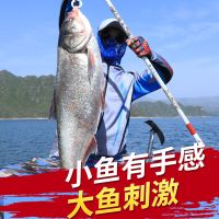 钓鱼竿手竿轻硬19调6h台钓竿碳素黑坑鱼竿