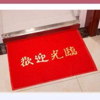 大门口出入地垫进门地垫入户脚垫防滑垫家用欢迎光临门垫
