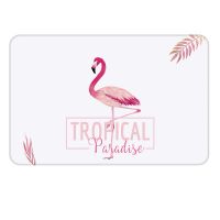 硅藻泥浴室防滑垫环保健康硅藻土防潮吸水速干脚垫