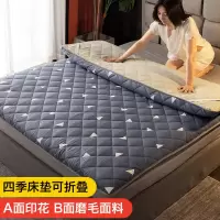 床垫子家用睡垫被褥子夏季榻榻米加厚软垫海绵宿舍1.5单双人