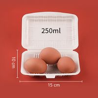 一次性泡沫快餐盒米饭塑料打包外卖生蚝烧烤肉蒸饺食堂餐厅炒肠粉