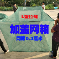 加盖网箱水产育苗黄鳝泥鳅养殖网箱小龙虾水蛭青蛙鱼苗防逃渔网箱