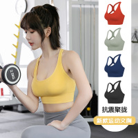 春夏运动文胸女防震聚拢跑步背心排扣美背无缝可调节健身胸罩内衣
