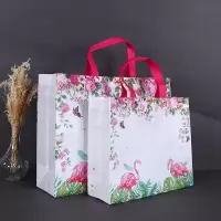 无纺布购物袋防水加厚覆膜鞋盒服装袋袋子手提袋化妆环保袋