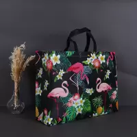 无纺布购物袋防水加厚覆膜鞋盒服装袋袋子手提袋化妆环保袋