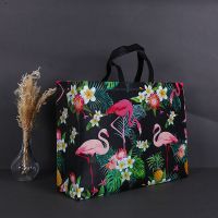 无纺布购物袋防水加厚覆膜鞋盒服装袋袋子手提袋化妆环保袋