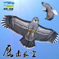 潍坊风筝老鹰风筝成人儿童大型卡通钢鹰金鹰1.8/2.2/3.6米