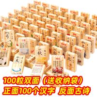 幼儿园儿童幼教数学习拼音识汉字古诗水果多米诺骨积木玩具