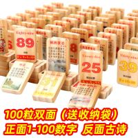 幼儿园儿童幼教数学习拼音识汉字古诗水果多米诺骨积木玩具