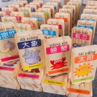 儿童100片实木双面唐诗数字多米诺骨积木早教认识字力幼教