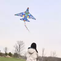 潍坊风筝红蓝飞机儿童卡通成人初学者微风易飞线轮