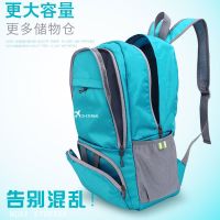 旅行防水双肩包轻可折叠户外女背包便携登山学生补课书肤包