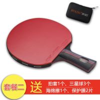 乒乓球拍6星单支装训练六星乒乓球拍红黑单拍学生成人拍9.8套餐