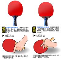4星乒乓球拍成品拍双拍单拍2只初学四星兵乓球直横拍套装