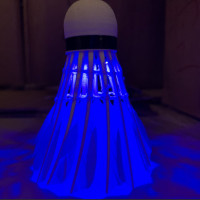 发光羽毛球耐打亮led灯带开关荧光彩色夜间夜光娱乐训练