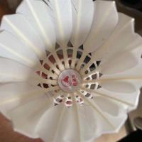 6只装12只装训练耐打比赛室内室外防风加重羽毛球