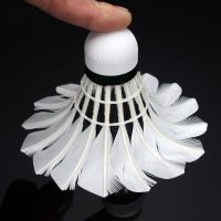 耐打羽毛球3只装6只装室内室外12只装户外运动羽毛球