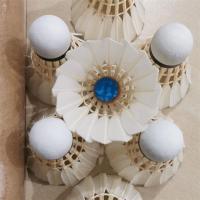 6只12只装羽毛球稳定不易打烂室内外训练耐打鹅毛球