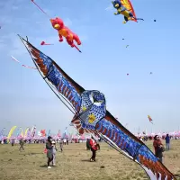 老鹰风筝大型大大潍坊微风易飞成人初学者带线轮大风筝