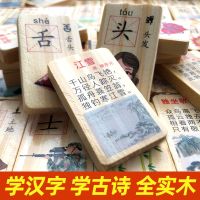 幼儿园儿童幼教数学习拼音识汉字古诗水果多米诺骨积木玩具