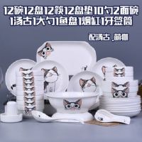 家用碗碟套装健康环保 35-65件碗盘子简约陶瓷碗盘餐具组合可微波