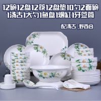 家用碗碟套装健康环保 35-65件碗盘子简约陶瓷碗盘餐具组合可微波