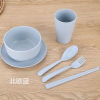 小麦秸秆防摔防烫碗家用餐具成人儿童塑料小碗吃饭碗筷盘杯勺套装
