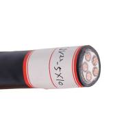 傻实在 电缆 国标全项保检 YJV22 5*10 米