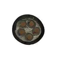 傻实在 电缆 国标全项保检 YJV 5*2.5mm² 米