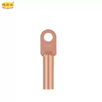 傻实在 铜鼻子 DT-10mm² 个