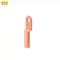 傻实在 铜鼻子 DT-25mm² 个