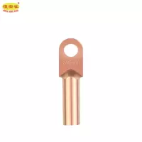 傻实在 铜鼻子 DT-240mm² 个