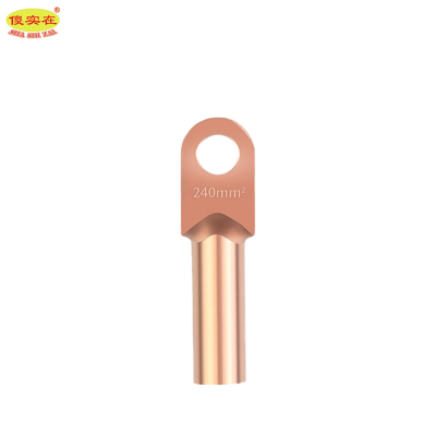 傻实在 铜鼻子 DT-240mm² 个