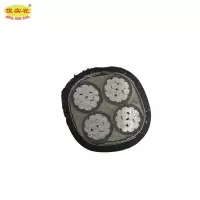 傻实在 铠装铝芯电缆 YJLV22-0.6/1KV4*50mm² 米