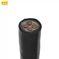 傻实在 电缆 国标全项保检 YJV22 4*6mm² 米