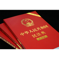 民法典2021年实施正版 中华人民共和国民法典大字版+法律经济常识一本全 法律常识基础书籍 婚姻家庭法合同法法律咨询法律
