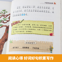 中国古代神话故事集一年级注音版课外阅读书籍老师推荐二年级三年级下册下学期四年级必读经典书目带拼音儿童读物中外民间民俗大全