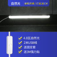大学生宿舍灯管神器led护眼台灯学习寝室书桌USB磁阅读充电酷毙灯 30cm单档自然光+2米USB线 其他