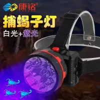 康铭蝎子灯捕蝎灯照蝎子专用紫光灯捉抓逮蝎灯充电豆虫灯头戴电筒 KM-180S头戴式照蝎子灯(白光+紫光)