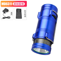 台钓灯夜钓灯氙气灯大功率强光野钓超亮防水蓝光钓鱼灯充电手电筒 钓鱼灯+直充(送防水布袋)