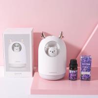 加湿器生日礼物女生实用送闺蜜的特别小走心高级感有纪念意义毕业 白小熊加湿器『配送精油』