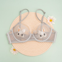 夏季天性感诱惑蕾丝少女士超薄款全透明内衣文胸衣罩大胸显小大码 灰色(单文胸) 70C