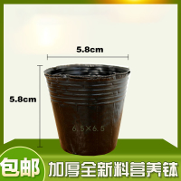 营养杯育苗盆育苗袋育苗杯育苗盒营养钵营养袋加厚塑料一次性花盆 型号6.5×6.5 加厚 (五百个)