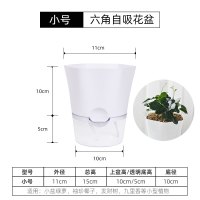 懒人自动吸水花盆清仓塑料树脂简约仿陶瓷绿萝箩多肉室内水培花盆 六角懒人吸水花盆小号 大