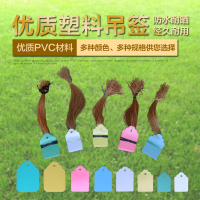 100张PVC彩色塑料植物吊签牌花卉园艺盆栽小挂牌苗木吊牌多肉标签 3.6x2.5cm白色/100张