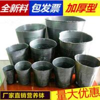 加厚营养钵塑料育苗袋营养袋营养杯育苗盆育苗杯一次性花盆种植大 型号8X8 500个