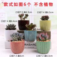 多肉花盆阳台特价陶瓷粗陶罐创意个性大小陶土老桩肉肉植物盆清仓 驼色 中小